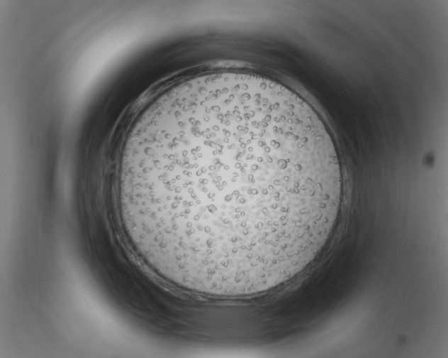 X0000116151151201001041048