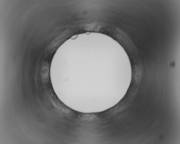 X0000116151154201001041047