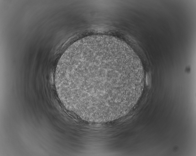 X0000116151155201001041047