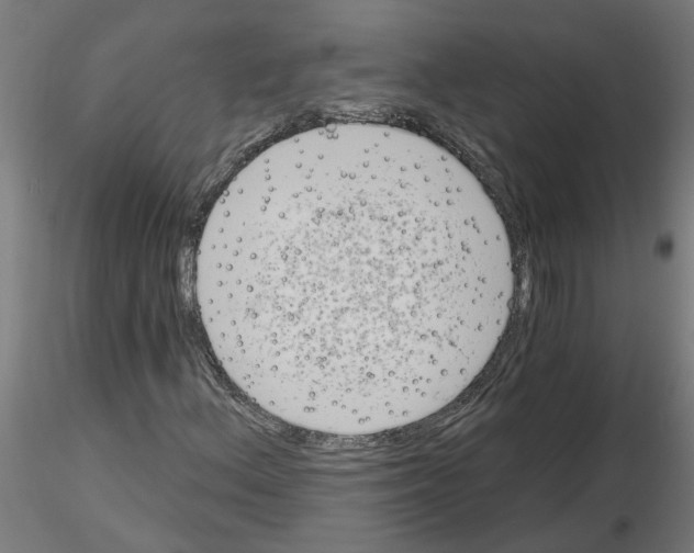 X0000116151156201001041047