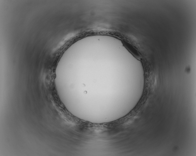 X0000116151157201001041047