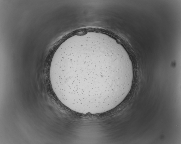 X0000116151159201001041047