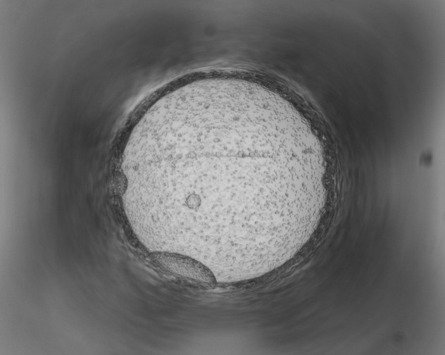 X0000116151160201001041047