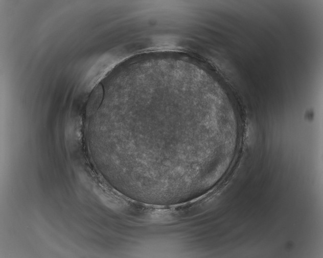 X0000116151161201001041047