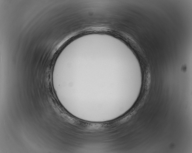 X0000116151162201001041047