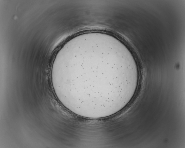 X0000116151163201001041047