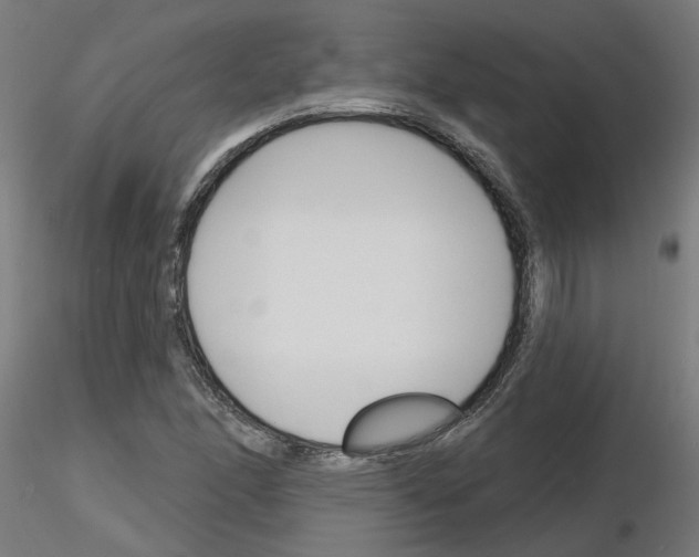 X0000116151166201001041047