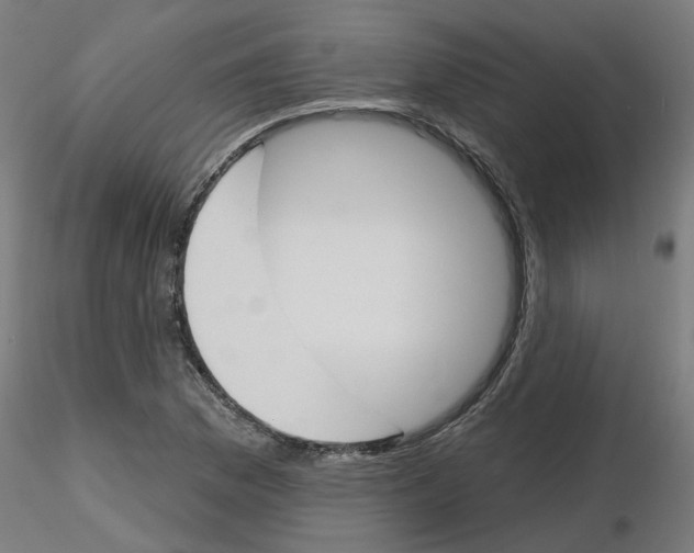 X0000116151169201001041047