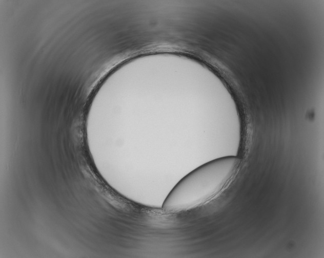 X0000116151170201001041047