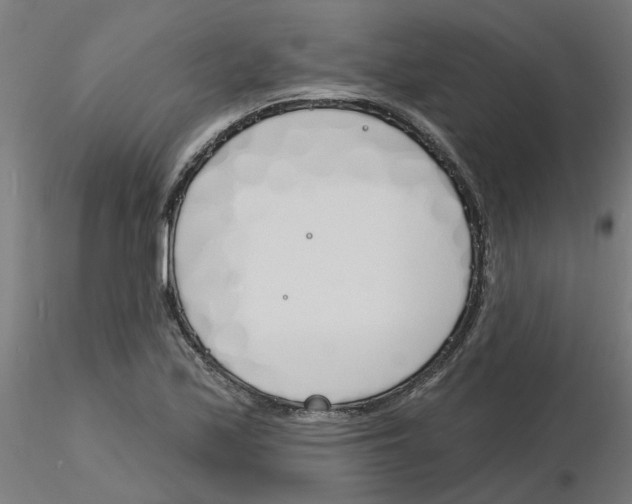 X0000116151171201001041047