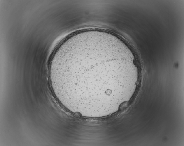 X0000116151172201001041047