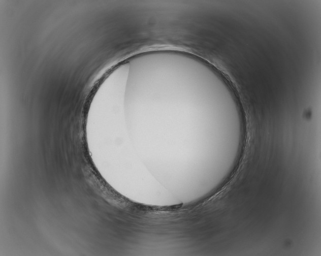 X0000116151173201001041047