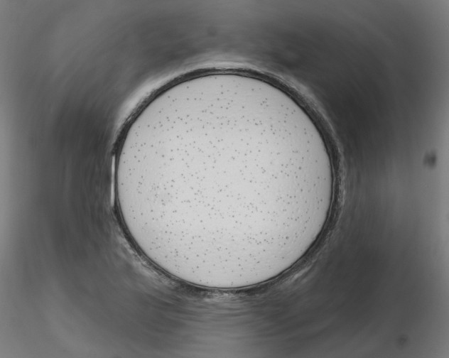 X0000116151175201001041047