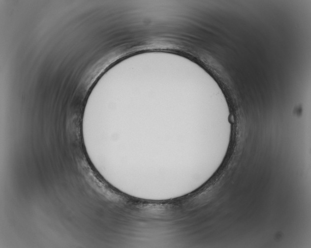 X0000116151177201001041047