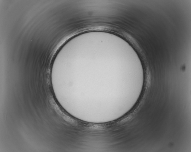 X0000116151178201001041047