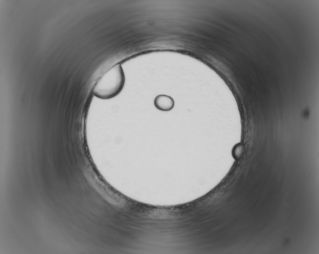 X0000116151179201001041047