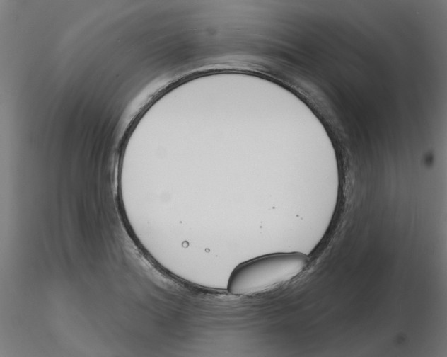 X0000116151180201001041047