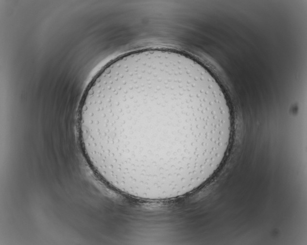 X0000116151182201001041047