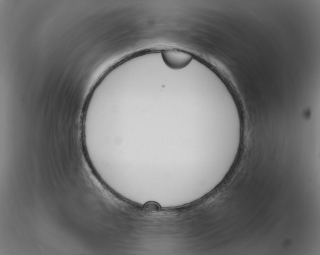 X0000116151183201001041047