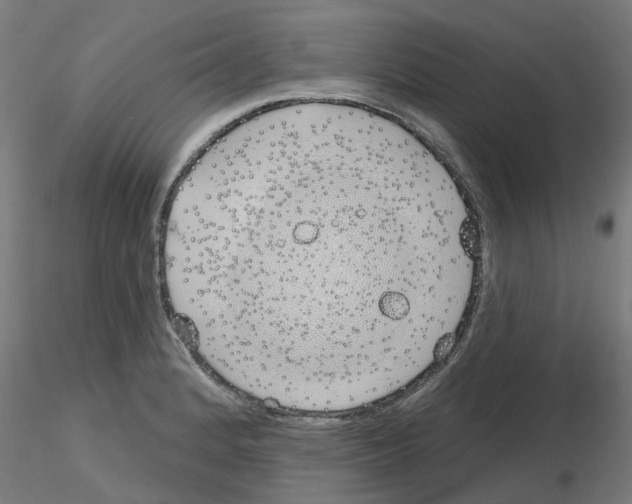 X0000116151184201001041047