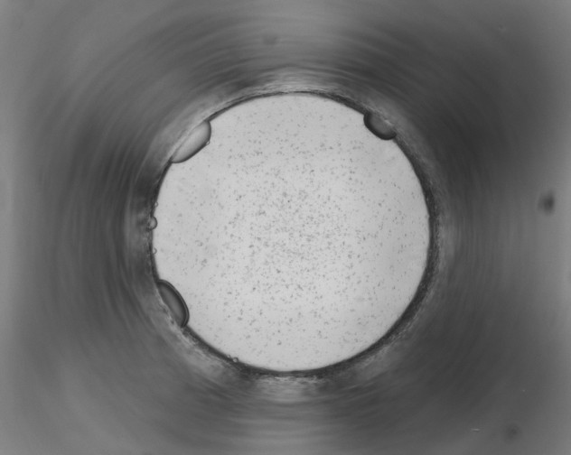 X0000116151185201001041047