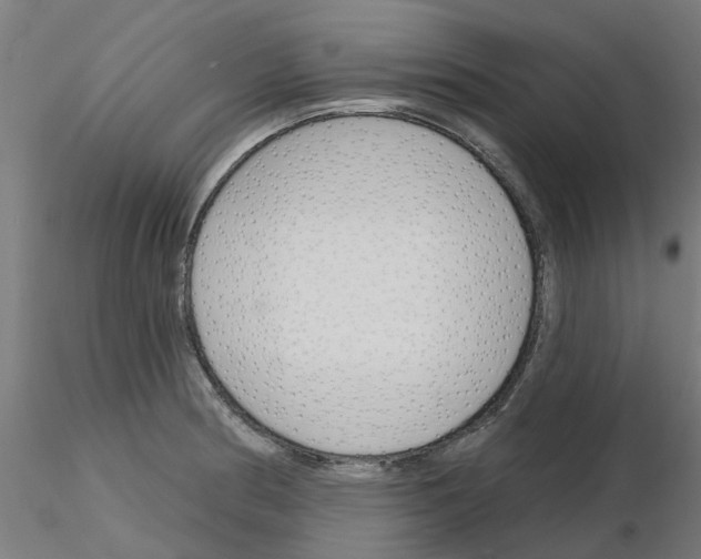 X0000116151186201001041047