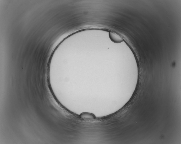 X0000116151187201001041047