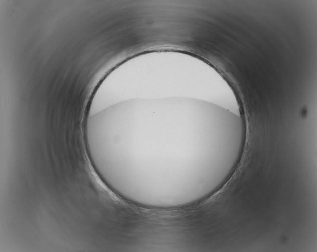 X0000116151189201001041047