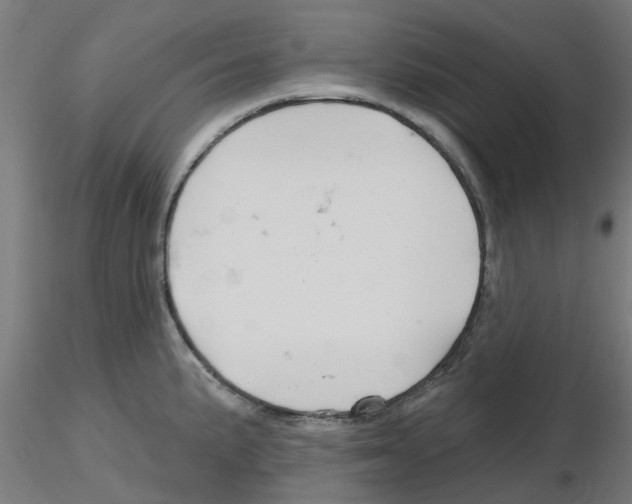 X0000116151191201001041047