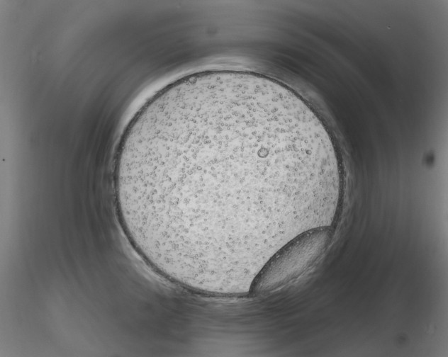 X0000116151192201001041047