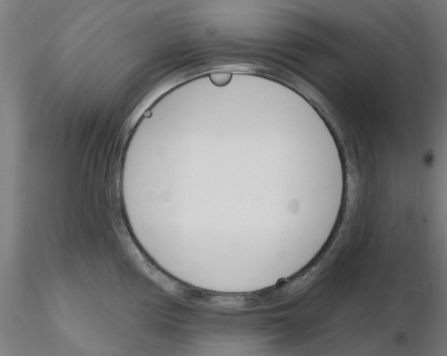 X0000116151194201001041047