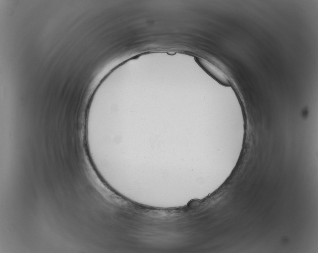 X0000116151195201001041047