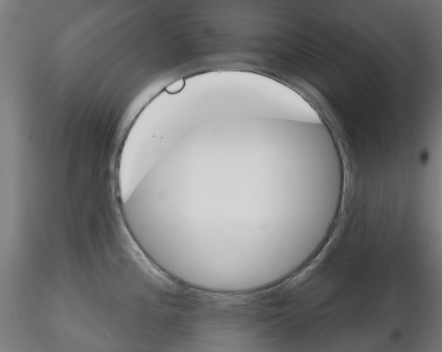 X0000116151196201001041047