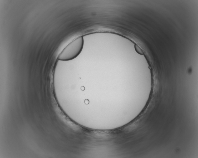 X0000116151198201001041047