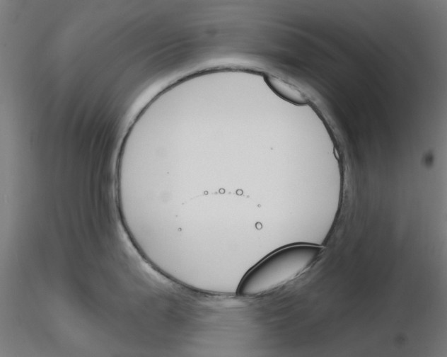 X0000116151199201001041047