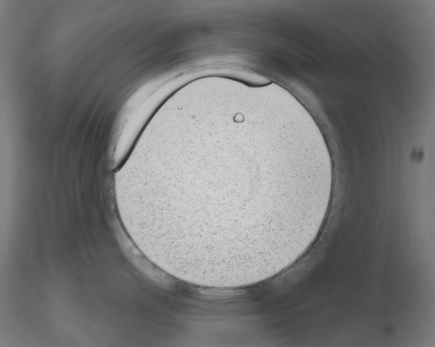 X0000116151200201001041047