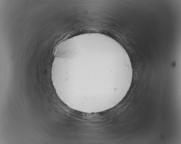 X0000116151201201001041046