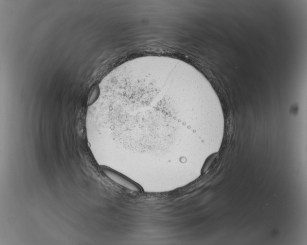 X0000116151202201001041046