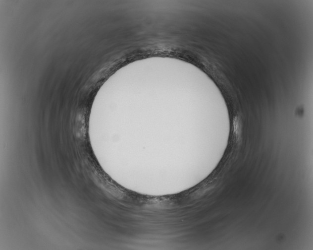 X0000116151203201001041046