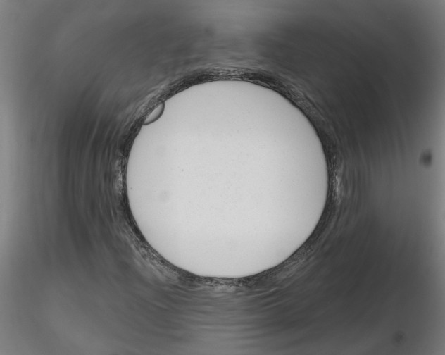 X0000116151204201001041046