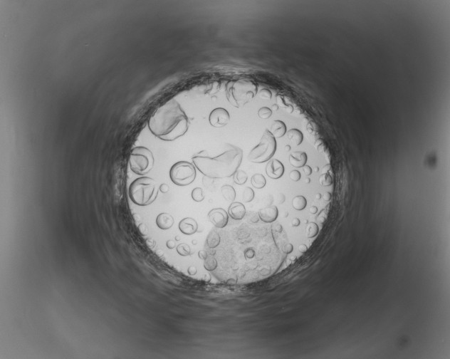 X0000116151205201001041046