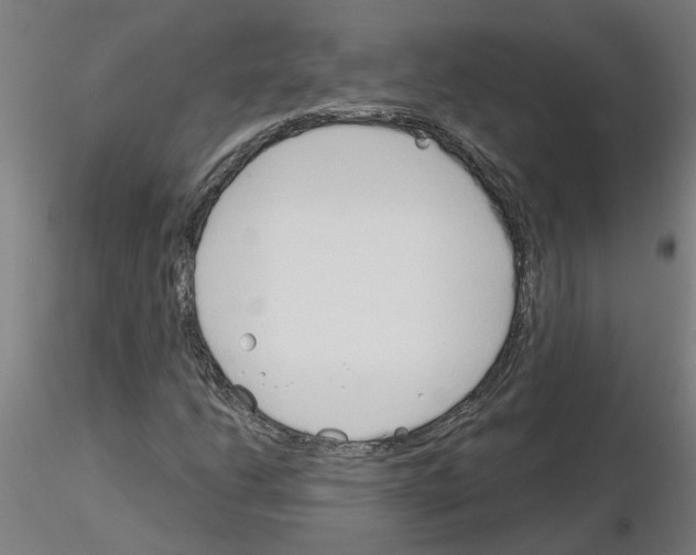 X0000116151206201001041046