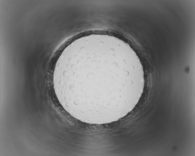 X0000116151208201001041046