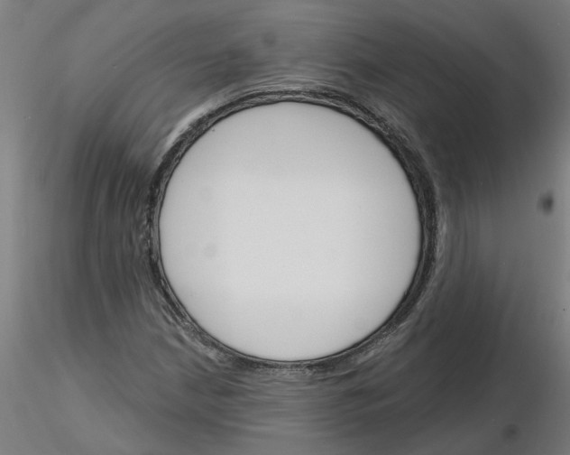 X0000116151210201001041046