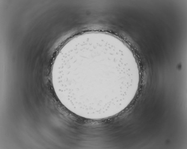 X0000116151213201001041046