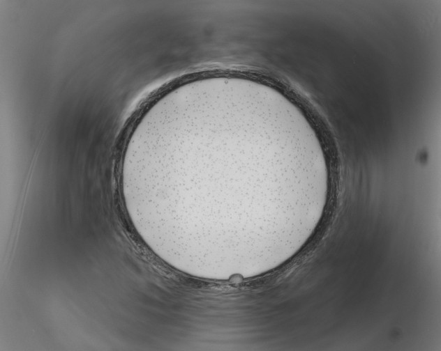 X0000116151214201001041046