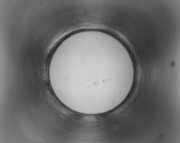 X0000116151215201001041046