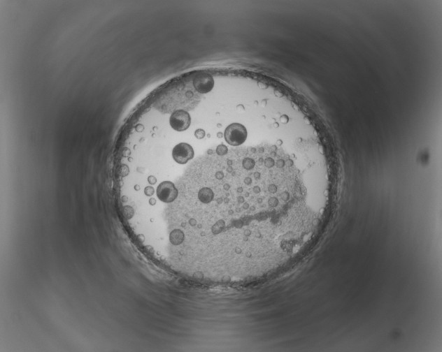 X0000116151216201001041046