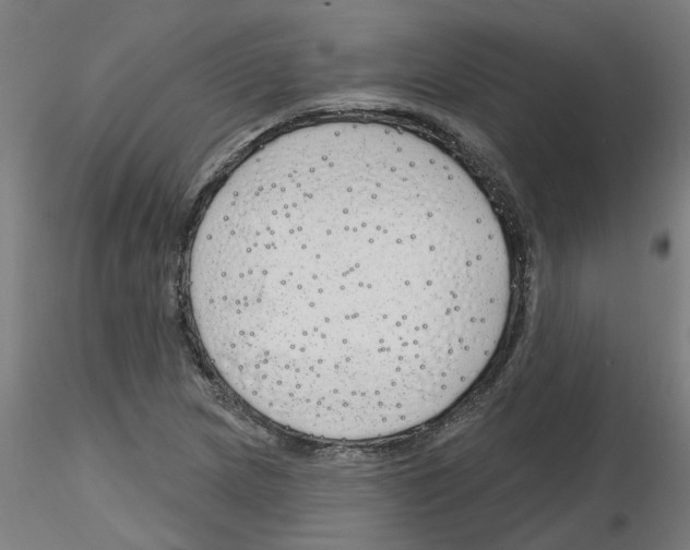 X0000116151217201001041046