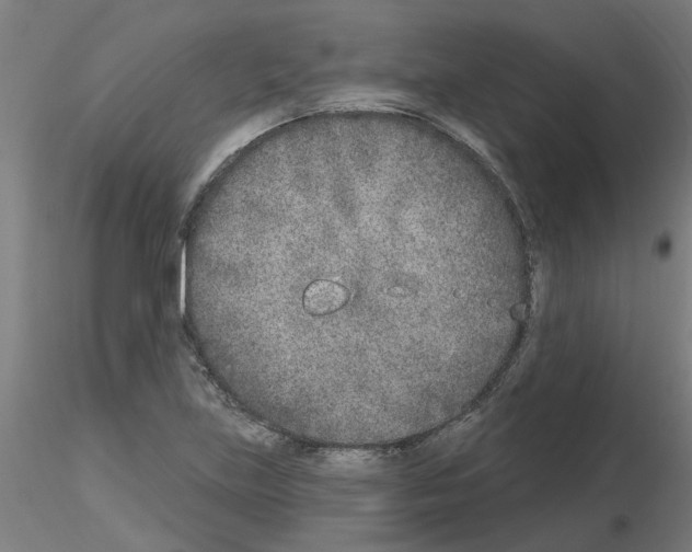 X0000116151219201001041046